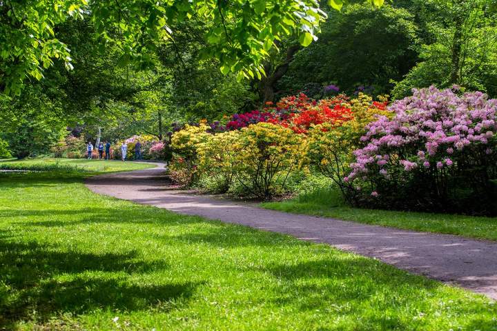 Création paysagère Montluçon